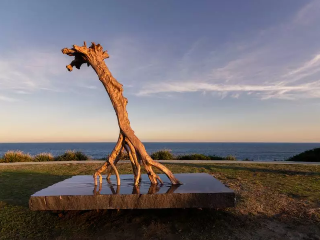 Aqualand Sculpture by the Sea - Shen Lieyi - Tracing by Charlotte Curd